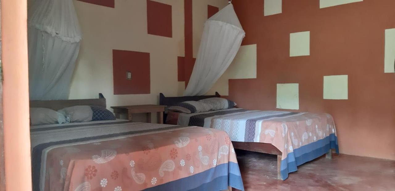 Centro Ecoturistico Ya'Ajche Hotel Lacanja Ngoại thất bức ảnh
