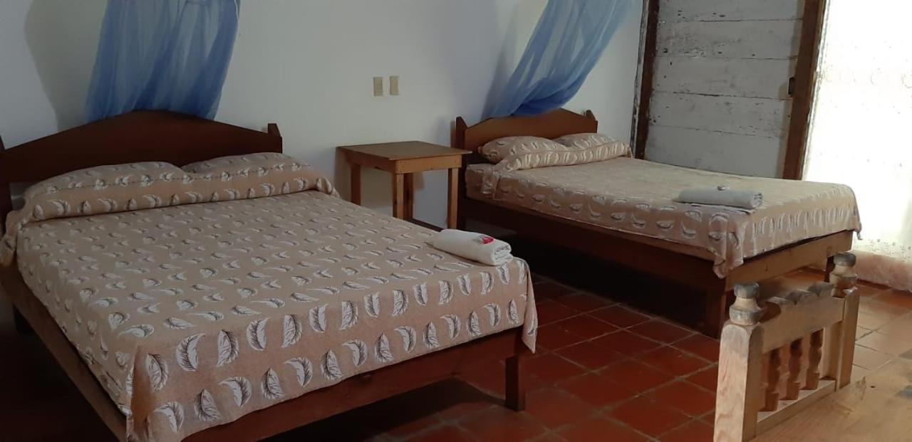Centro Ecoturistico Ya'Ajche Hotel Lacanja Ngoại thất bức ảnh
