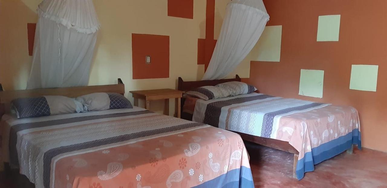 Centro Ecoturistico Ya'Ajche Hotel Lacanja Ngoại thất bức ảnh